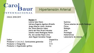 Hipertensin Arterial CICLO 2018 2019 Equipo 3 Leticia