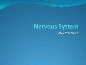 Nervous System Alex Wiemann Function of Nervous System