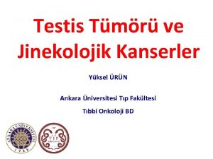 Testis Tmr ve Jinekolojik Kanserler Yksel RN Ankara