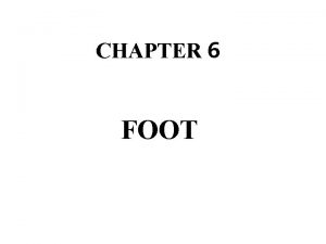 CHAPTER 6 FOOT LATERAL TALUS IND Inversion ankle