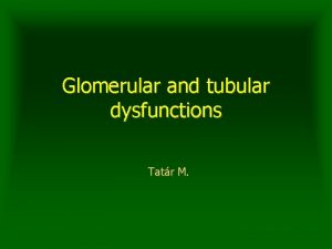 Glomerular and tubular dysfunctions Tatr M Basic kidney