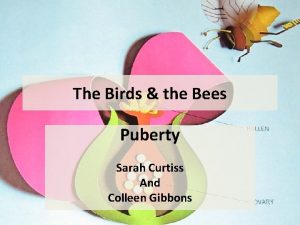 The Birds the Bees Puberty Sarah Curtiss And