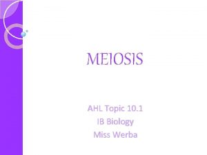 MEIOSIS AHL Topic 10 1 IB Biology Miss