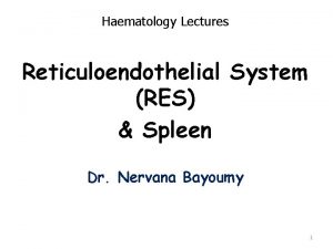 Haematology Lectures Reticuloendothelial System RES Spleen Dr Nervana