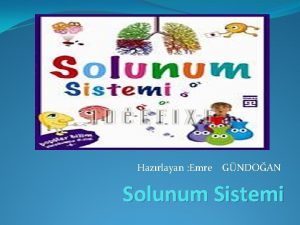 Hazrlayan Emre GNDOAN Solunum Sistemi SOLUNUM SSTEMMZ BURUN