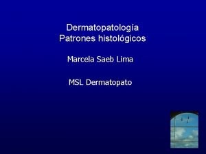 Dermatopatologa Patrones histolgicos Marcela Saeb Lima MSL Dermatopato