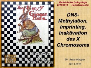 Medizinische Embryologie 20182019 Herbstsemester DNSMethylation Imprinting Inaktivation des