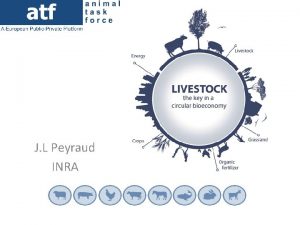 J L Peyraud INRA Perspective of Livestock production