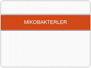 MKOBAKTERLER Mycobacterium cinsi bakteriler Mikobakteriler Actinomycetales takmndaki Mycobacteriaceae