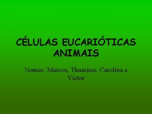 CLULAS EUCARITICAS ANIMAIS Nomes Marcos Thamires Carolina e