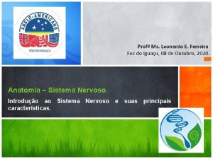 Sistema nervoso central Sistema nervoso central