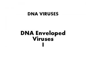 DNA VIRUSES DNA Enveloped Viruses I Objectives In