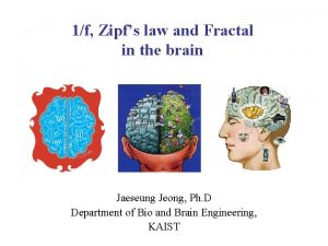 1f Zipfs law and Fractal in the brain