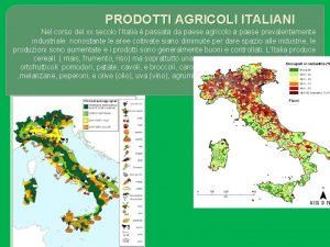 PRODOTTI AGRICOLI ITALIANI Nel corso del xx secolo