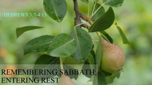 HEBREWS 3 7 4 13 REMEMBERING SABBATH ENTERING