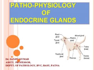 PATHOPHYSIOLOGY OF ENDOCRINE GLANDS Dr SANJIV KUMAR ASSTT