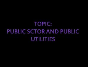 TOPIC PUBLIC SCTOR AND PUBLIC UTILITIES PRESENTED TO