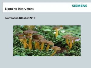 Siemens instrument Norrbotten Oktober 2013 Agenda Historik Njurfunktion
