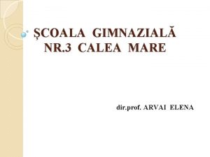 COALA GIMNAZIAL NR 3 CALEA MARE dir prof