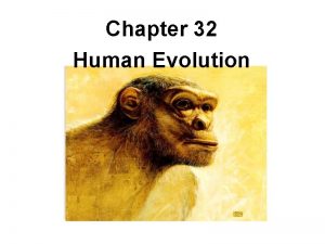 Chapter 32 Human Evolution PRIMATE DIVERSITY Study these