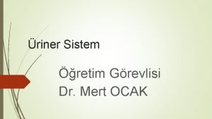 riner Sistem retim Grevlisi Dr Mert OCAK M