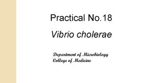 Practical No 18 Vibrio cholerae CHOLERA Vibrio cholerae