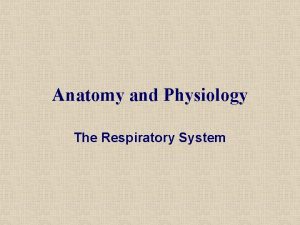 Anatomy and Physiology The Respiratory System BREATHING https