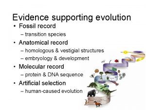 Evidence supporting evolution Fossil record transition species Anatomical