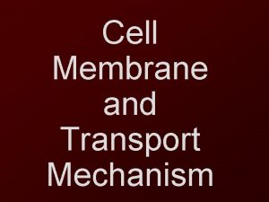 Cell Membrane and Transport Mechanism Cell Membrane Fluid