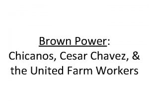 Brown Power Chicanos Cesar Chavez the United Farm