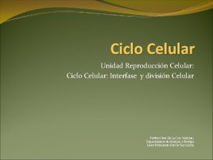Ciclo Celular Unidad Reproduccin Celular Ciclo Celular Interfase