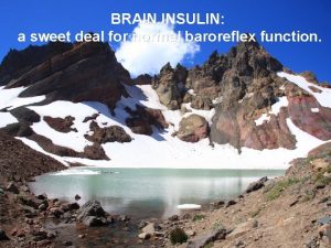 BRAIN INSULIN a sweet deal for normal baroreflex