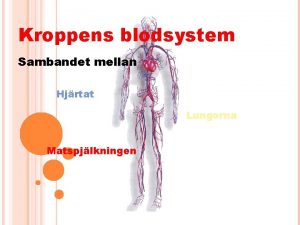 Kroppens blodsystem Sambandet mellan Hjrtat Lungorna Matspjlkningen Kroppens