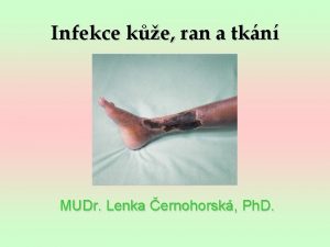 Infekce ke ran a tkn MUDr Lenka ernohorsk