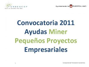 Convocatoria 2011 Ayudas Miner Pequeos Proyectos Empresariales 1