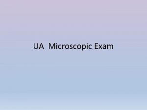 UA Microscopic Exam UA Microscopic Exam Use a