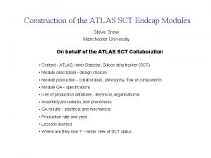 Construction of the ATLAS SCT Endcap Modules Steve