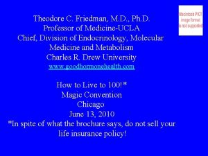 Theodore C Friedman M D Ph D Professor