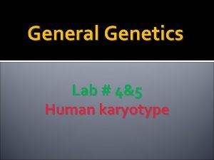General Genetics Lab 45 Human karyotype Objectives Students