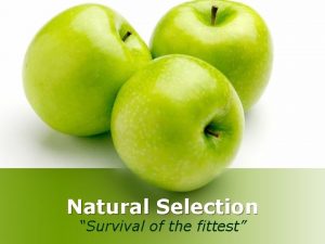 Natural Selection Survival of the fittest Haha More