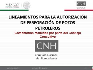 LINEAMIENTOS PARA LA AUTORIZACIN DE PERFORACIN DE POZOS