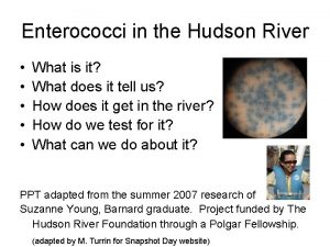 Enterococci in the Hudson River What is it