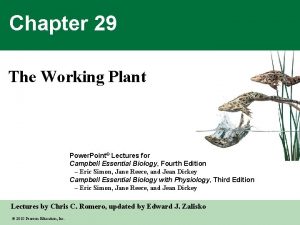 Chapter 29 The Working Plant Power Point Lectures