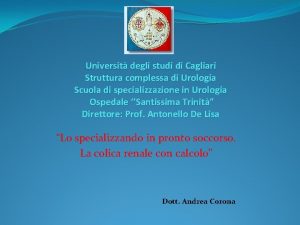 Universit degli studi di Cagliari Struttura complessa di