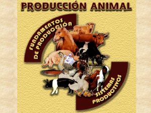 Origen y Evolucin de los animales domsticos Animales