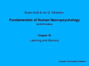 Bryan Kolb Ian Q Whishaw Fundamentals of Human