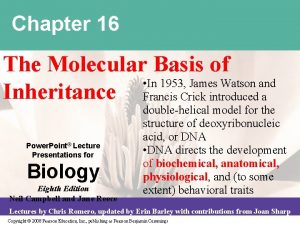 Chapter 16 The Molecular Basis of In 1953