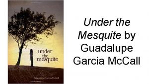 Under the mesquite summary