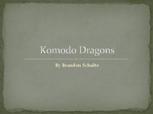 Komodo Dragons By Brandon Schulte Classification Kingdom Animalia
