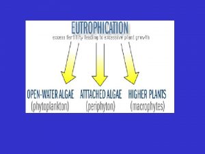 WATER QUALITY IMPACTS ASSOCIATED WITH EUTROPHICATION Noxious algae